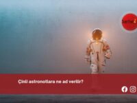 Çinli astronotlara ne ad verilir?