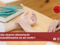 Kalp atışının damarlarda hissedilmesine ne ad verilir?