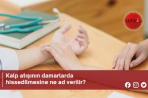 Kalp atışının damarlarda hissedilmesine ne ad verilir?