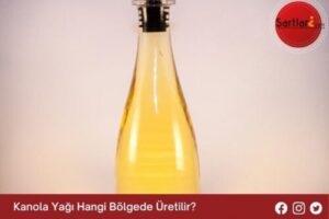 Kanola Yağı Hangi Bölgede Üretilir