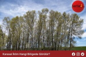 Karasal İklim Hangi Bölgede Görülür