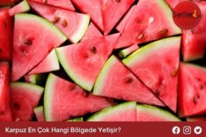 Karpuz En Çok Hangi Bölgede Yetişir