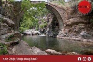 Kaz Dağı Hangi Bölgede