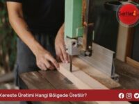 Kereste Üretimi Hangi Bölgede Üretilir