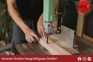 Kereste Üretimi Hangi Bölgede Üretilir