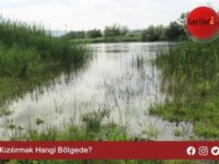 Kızılırmak Hangi Bölgede