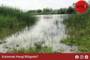 Kızılırmak Hangi Bölgede