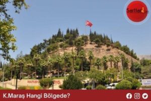 K.Maraş Hangi Bölgede