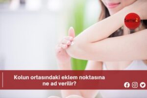 Kolun ortasındaki eklem noktasına ne ad verilir?