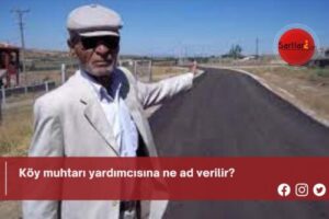 Köy muhtarı yardımcısına ne ad verilir?