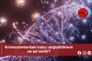 Kromozomlardaki kalıcı değişikliklere ne ad verilir?