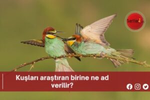 Kuşları araştıran birine ne ad verilir?