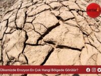 Ülkemizde Erozyon En Çok Hangi Bölgede Görülür