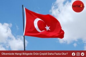 Ülkemizde Hangi Bölgede Ürün Çeşidi Daha Fazla Olur