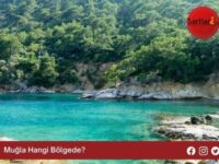 Muğla Hangi Bölgede