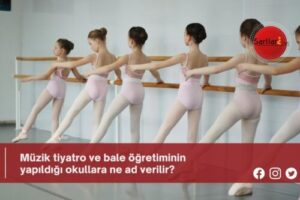 Müzik tiyatro ve bale öğretiminin yapıldığı okullara ne ad verilir?