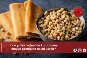 İnce yufka biçiminde kurutulmuş meyve ezmesine ne ad verilir?