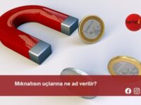 Mıknatısın uçlarına ne ad verilir?