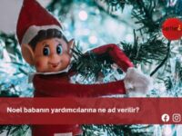 Noel babanın yardımcılarına ne ad verilir?