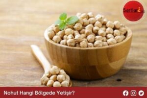 Nohut Hangi Bölgede Yetişir