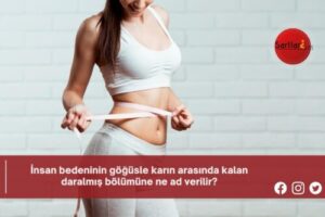 İnsan bedeninin göğüsle karın arasında kalan daralmış bölümüne ne ad verilir?