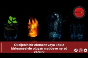 Oksijenin bir element veya kökle birleşmesiyle oluşan maddeye ne ad verilir?