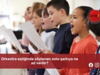 Orkestra eşliğinde söylenen solo şarkıya ne ad verilir?