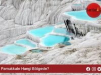 Pamukkale Hangi Bölgede