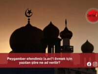 Peygamber efendimiz (s.av)’i övmek için yazılan şiire ne ad verilir?