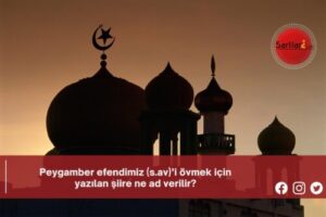 Peygamber efendimiz (s.av)’i övmek için yazılan şiire ne ad verilir?