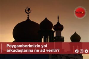 Peygamberimizin yol arkadaşlarına ne ad verilir?