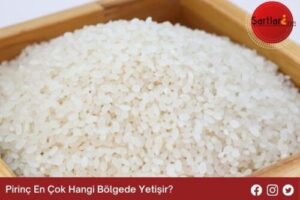 Pirinç En Çok Hangi Bölgede Yetişir