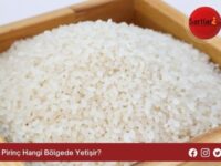 Pirinç Hangi Bölgede Yetişir