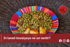 İri taneli bezelyeye ne ad verilir?