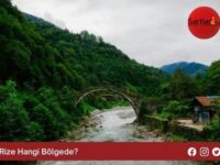 Rize Hangi Bölgede