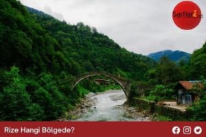 Rize Hangi Bölgede