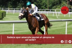 Sadece spor amacıyla yapılan at yarışına ne ad verilir?