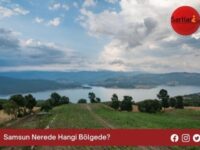 Samsun Nerede Hangi Bölgede