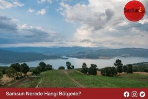 Samsun Nerede Hangi Bölgede