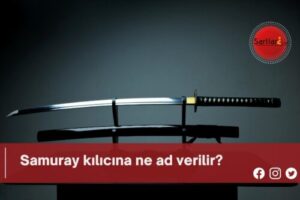 Samuray kılıcına ne ad verilir?