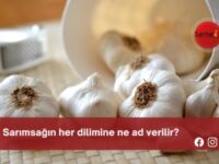 Sarımsağın her dilimine ne ad verilir?