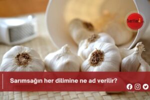 Sarımsağın her dilimine ne ad verilir?