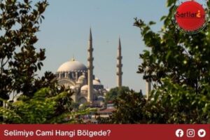 Selimiye Cami Hangi Bölgede