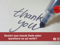 Sesleri yazı olarak ifade eden işaretlere ne ad verilir?