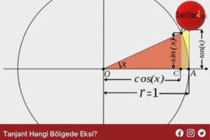 Tanjant Hangi Bölgede Eksi