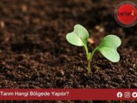 Tarım Hangi Bölgede Yapılır