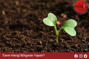 Tarım Hangi Bölgede Yapılır