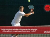 Tenis sporunda ağa yakınlaşmış rakibin arkadına atılan yüksek ve yumuşak topa ne ad verilir?