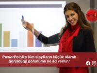 PowerPointte tüm slaytların küçük olarak görüldüğü görünüme ne ad verilir?