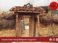 Toprak Evler Hangi Bölgede Yaygındır